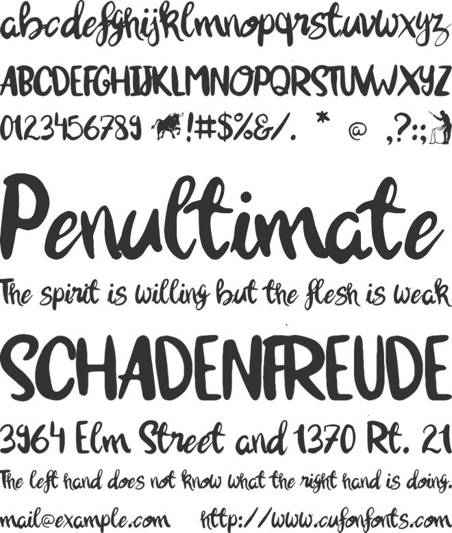¡Olé torero! font preview