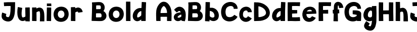 Junior Bold font