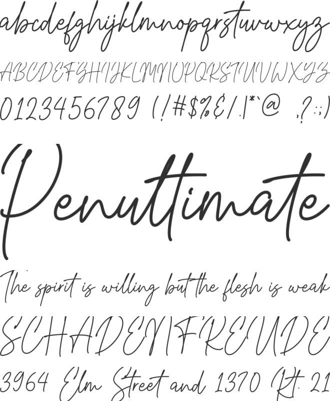 Grayscale Signature font preview