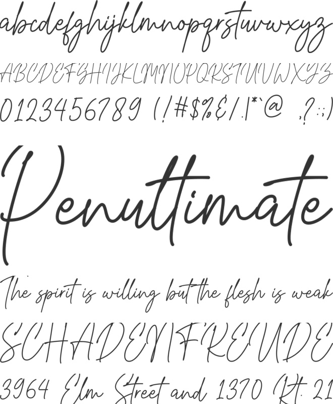 Grayscale Signature font preview