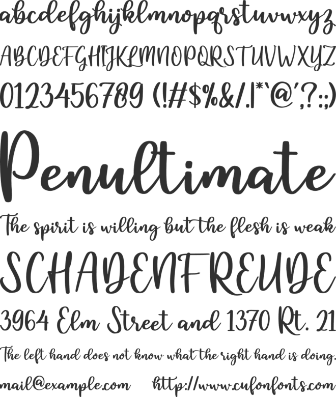 feather font preview