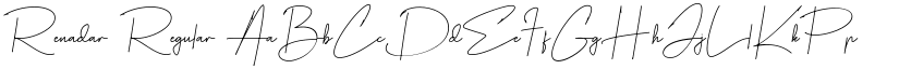 Renadar font download