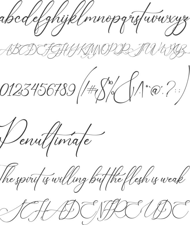 Nagisha font preview