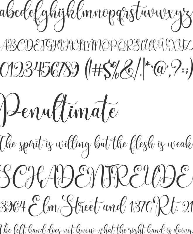 Bigola font preview