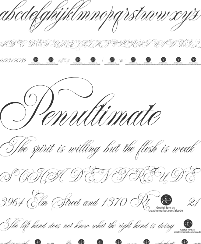 The Duality font preview