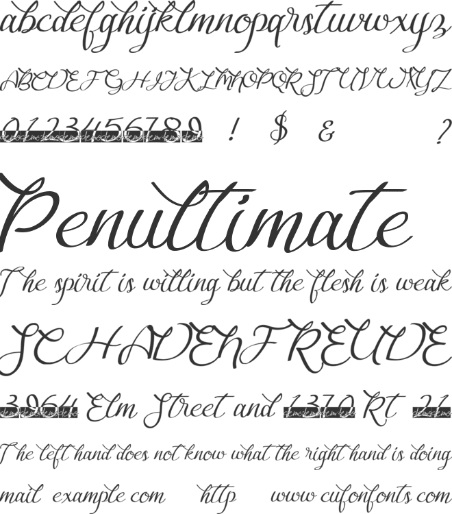 Bougainvillea font preview