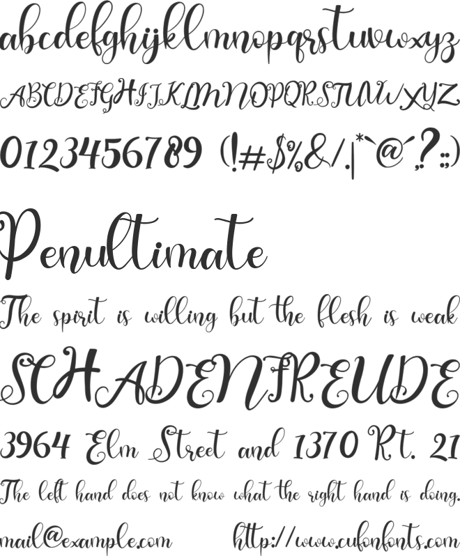 chayla font preview