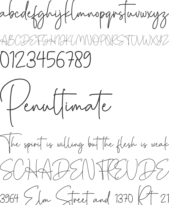 Denira Signature font preview