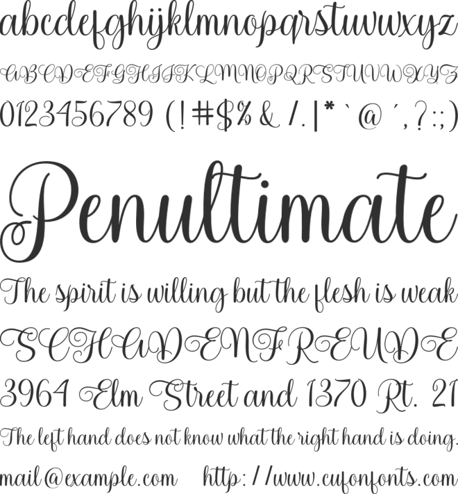 Spalding Script font preview