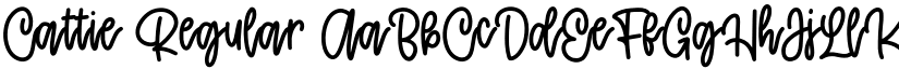 Cattie Regular font
