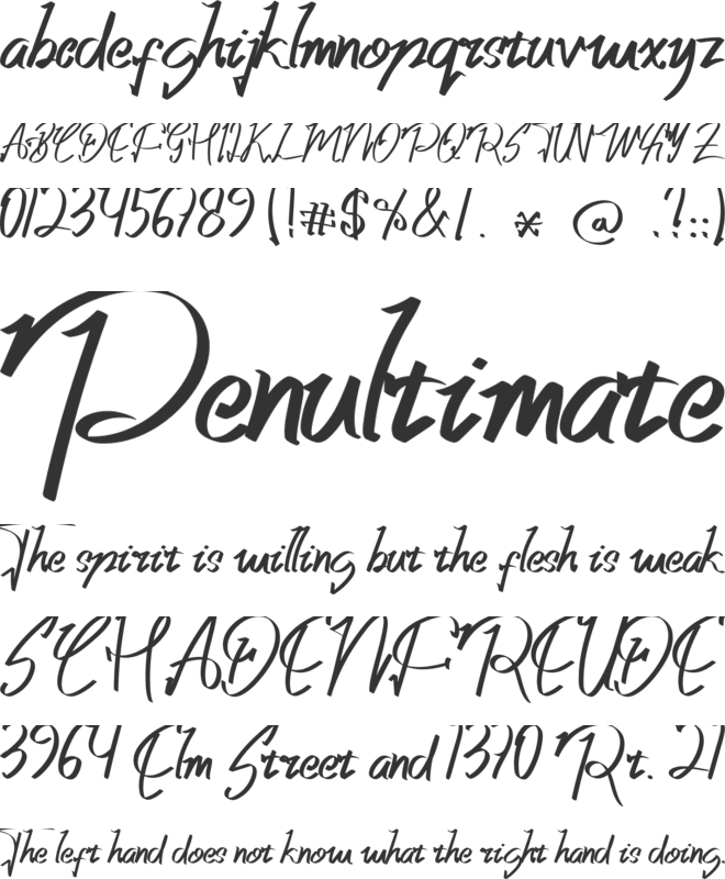 single binghod font preview
