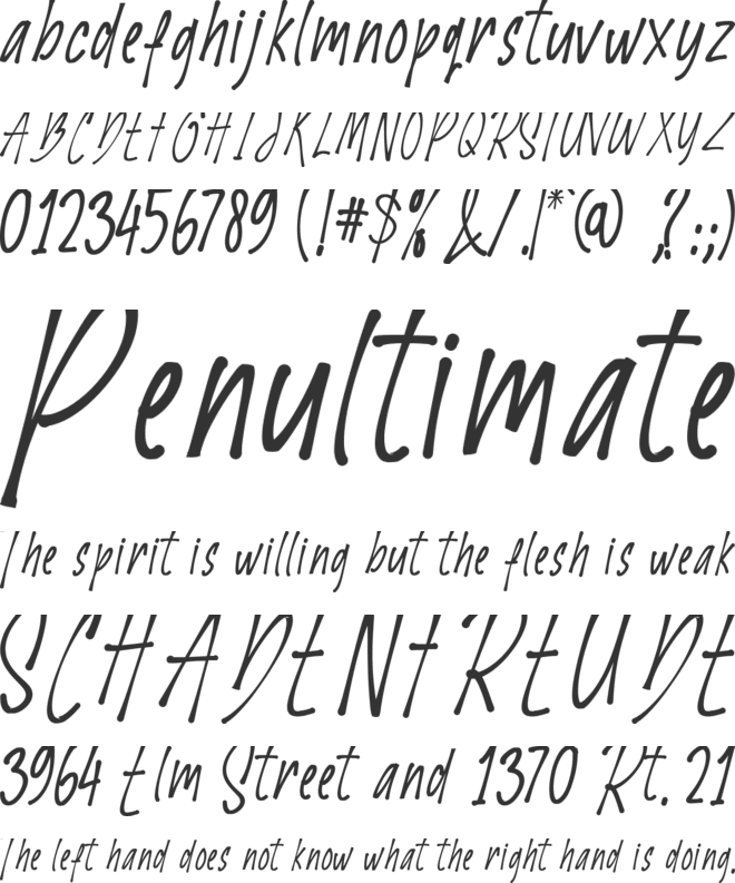 Barleria font preview