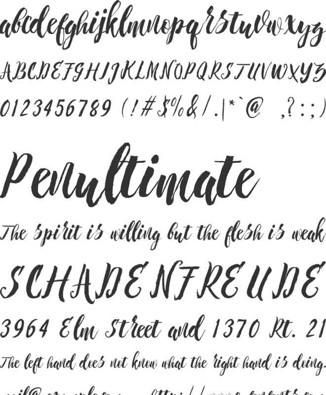 Chameleon font preview