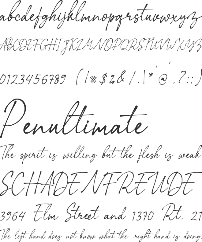 Rextions Script font preview