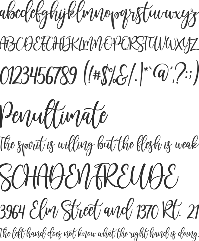 Sunkisa font preview