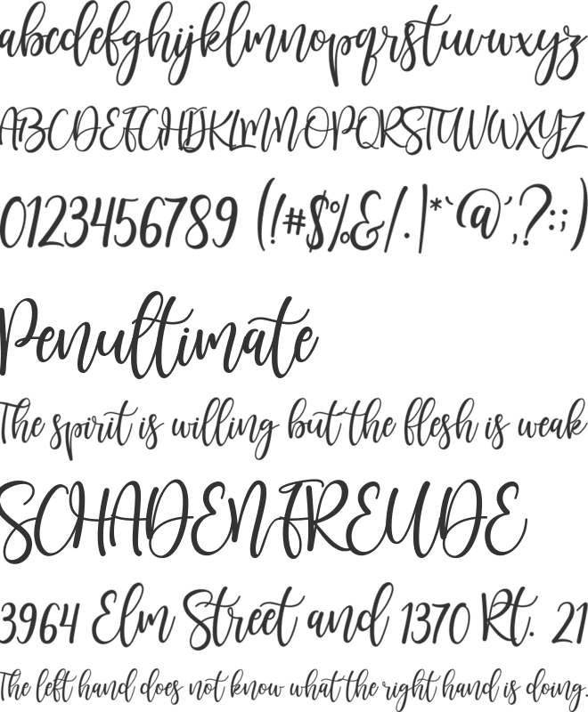 Sunkisa font preview