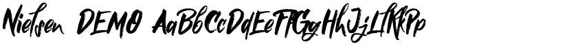 Nielsen DEMO font