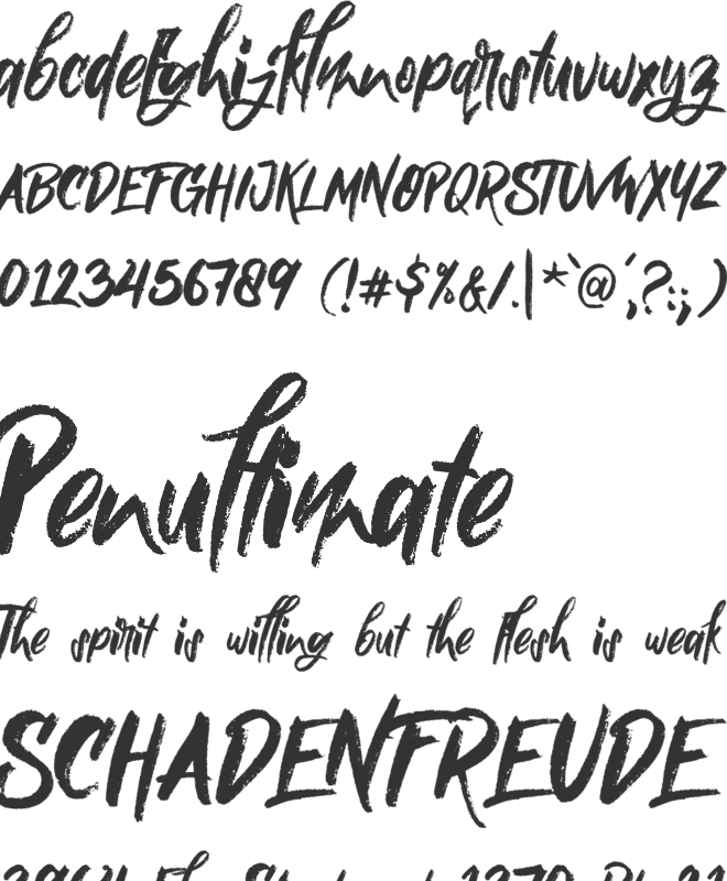 Nielsen font preview