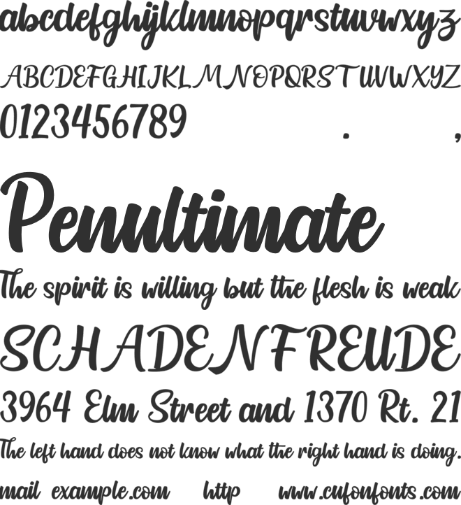 Northline Script font preview