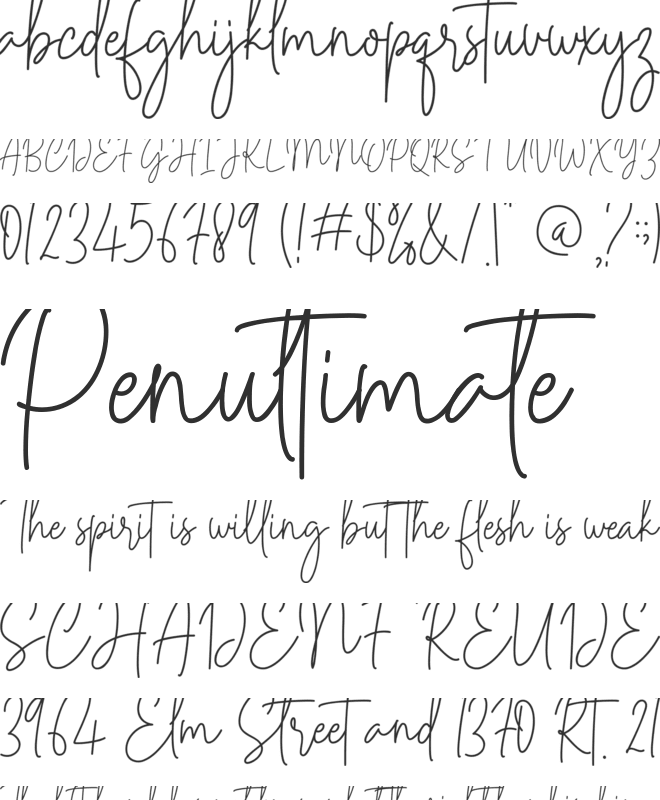 Midnight Signature font preview