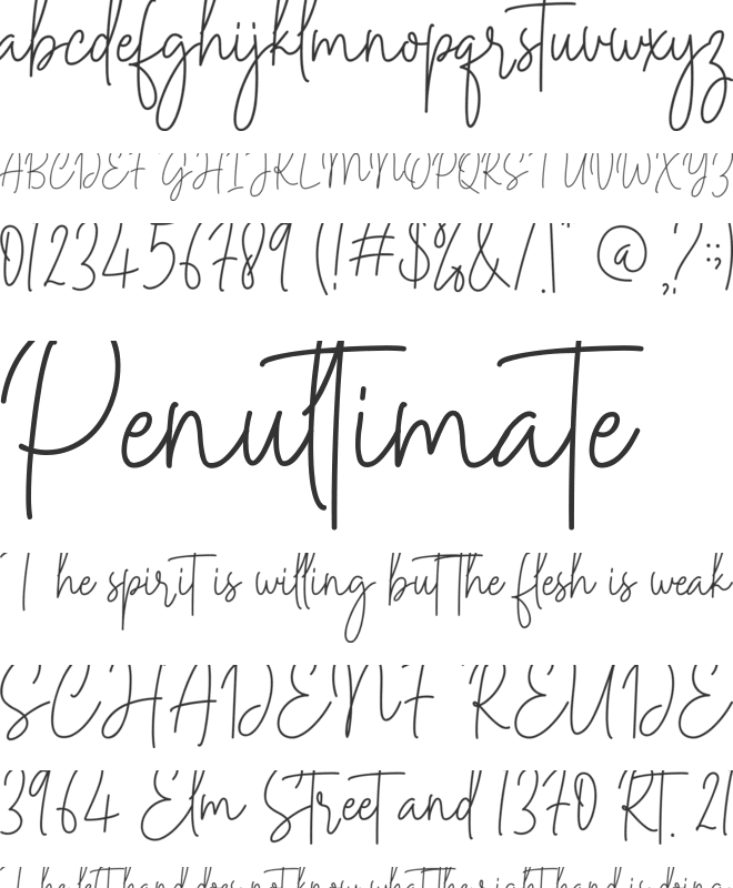 Midnight Signature font preview