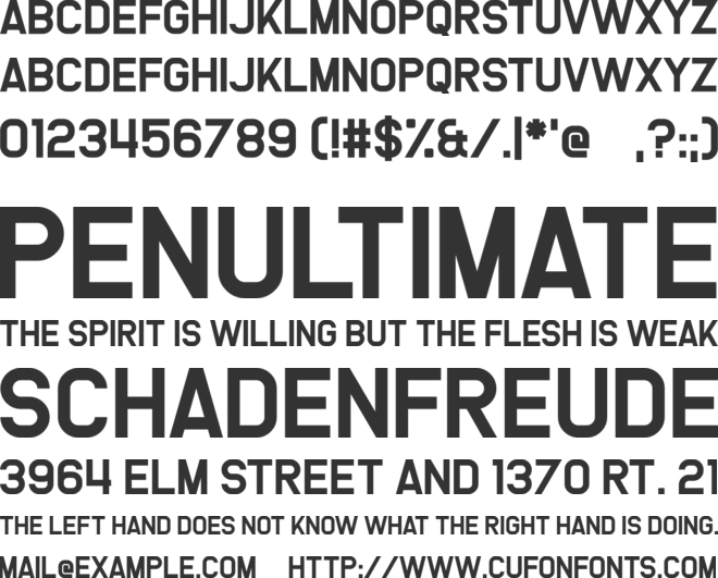 We Are Survivors font preview