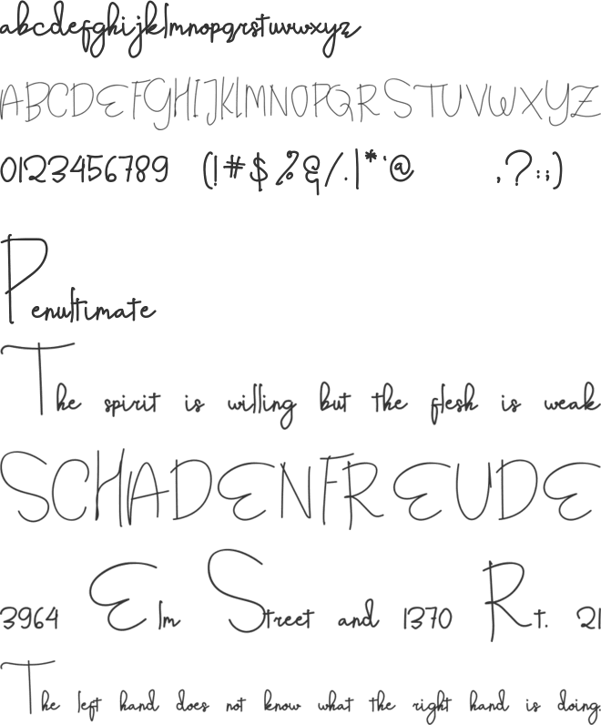 Angle Rose font preview