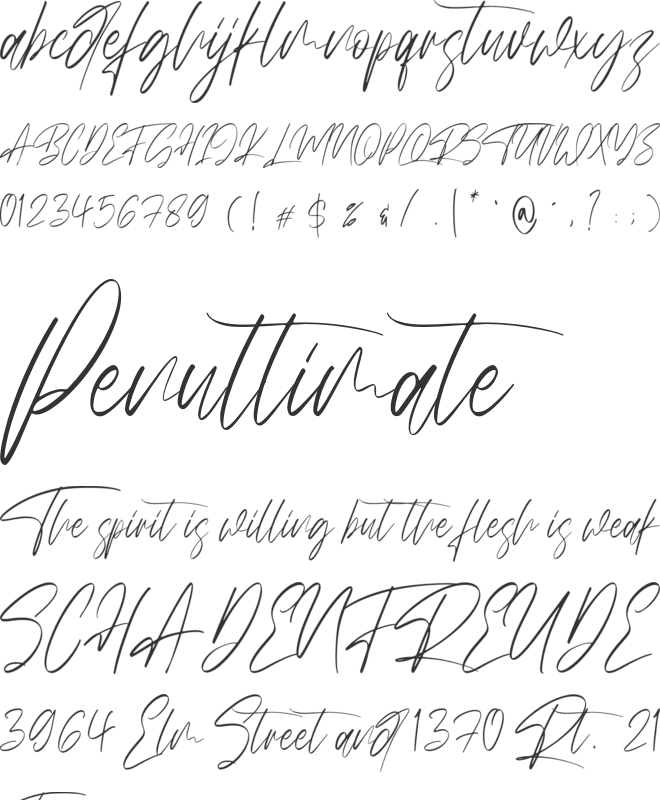 Miny Fellas font preview