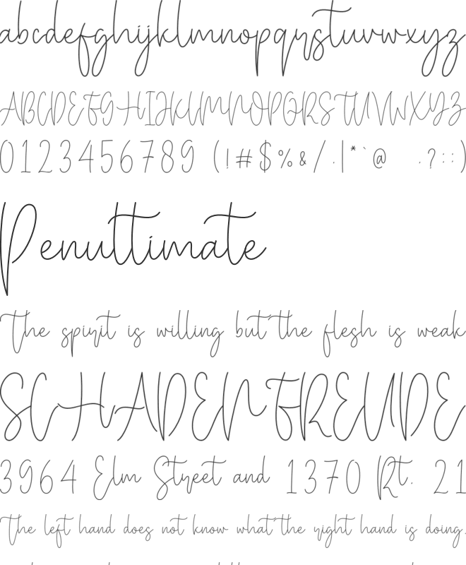 Miya Wayne font preview