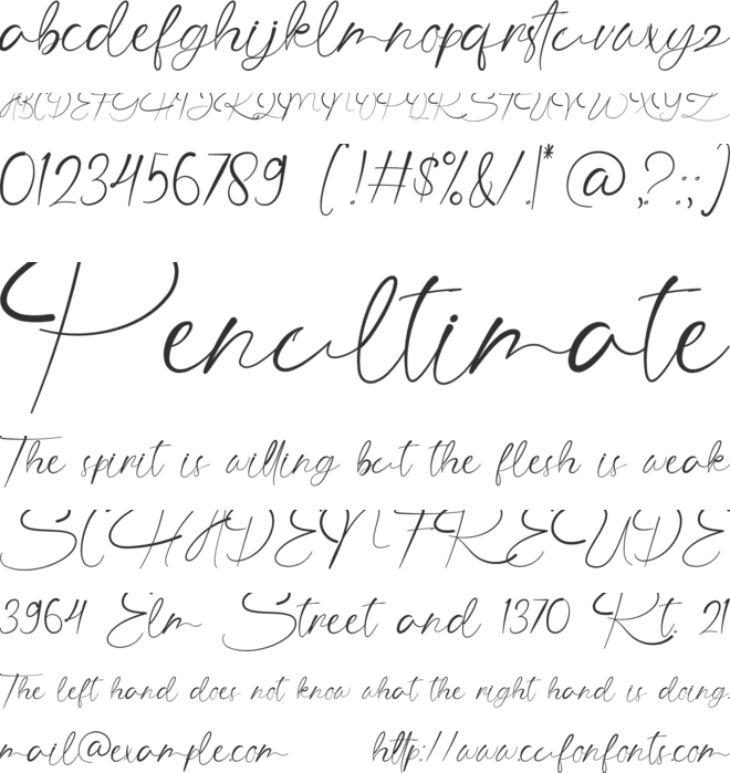 The Angellica font preview