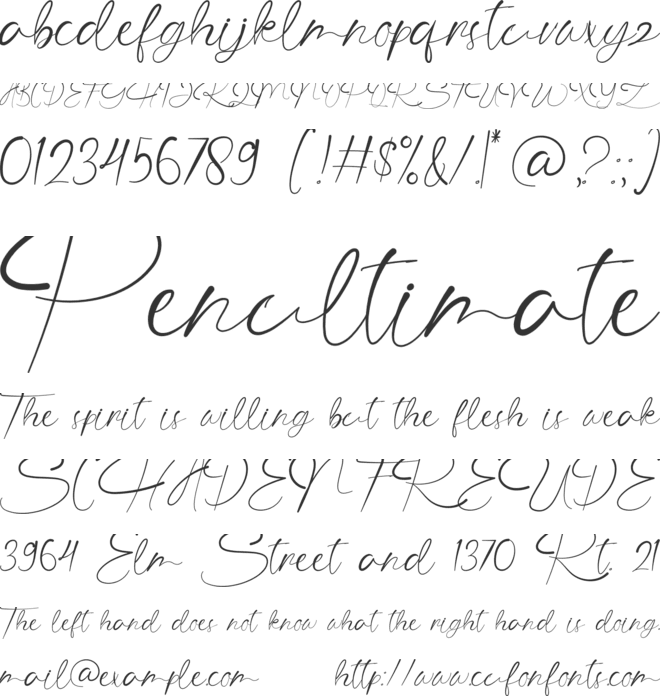 The Angellica font preview