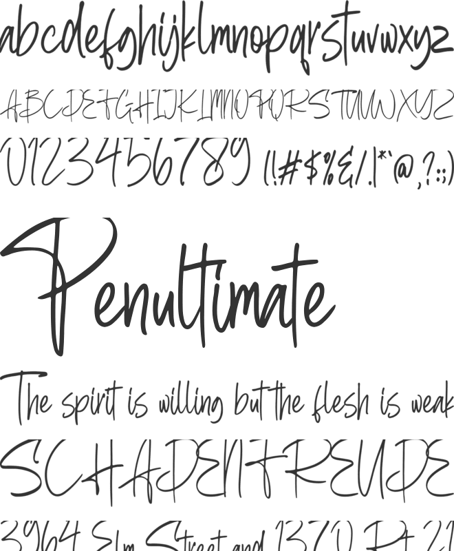 Berthusen font preview