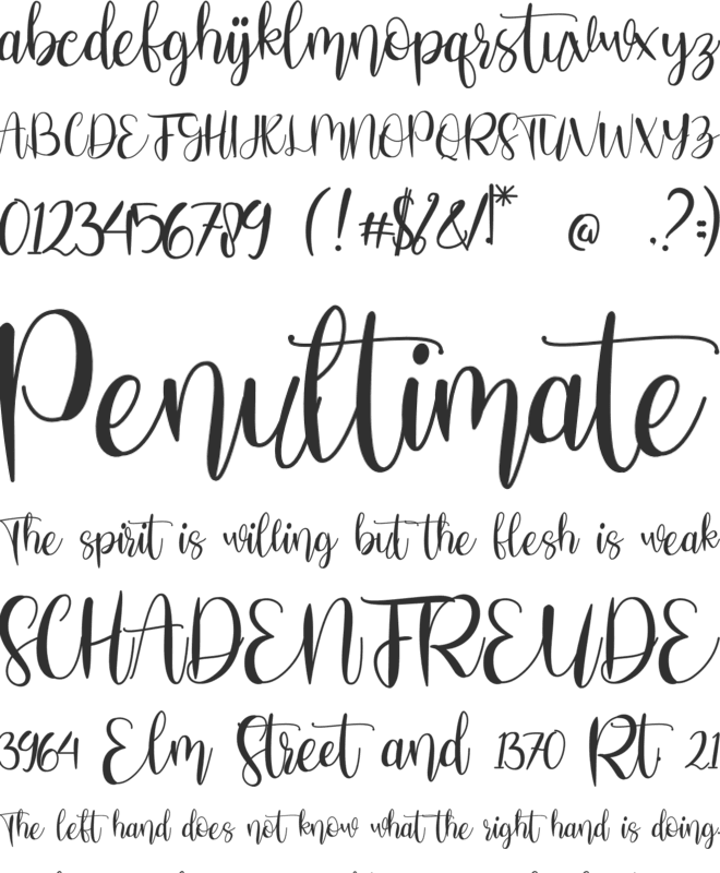 Stefany Signature font preview