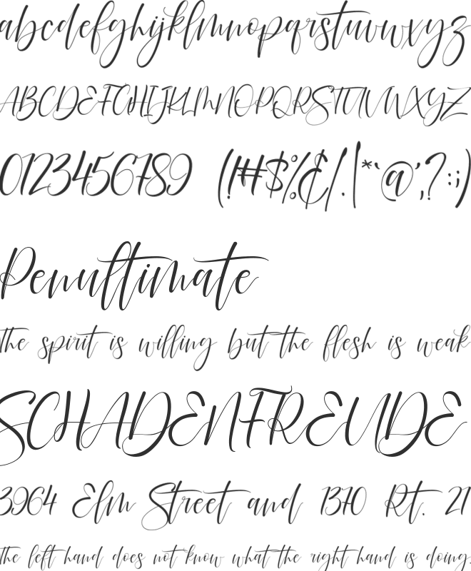 Rodelia font preview