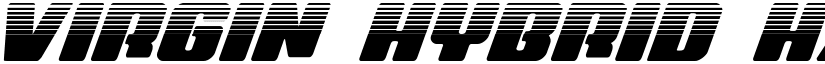 Virgin Hybrid Halftone Regular font