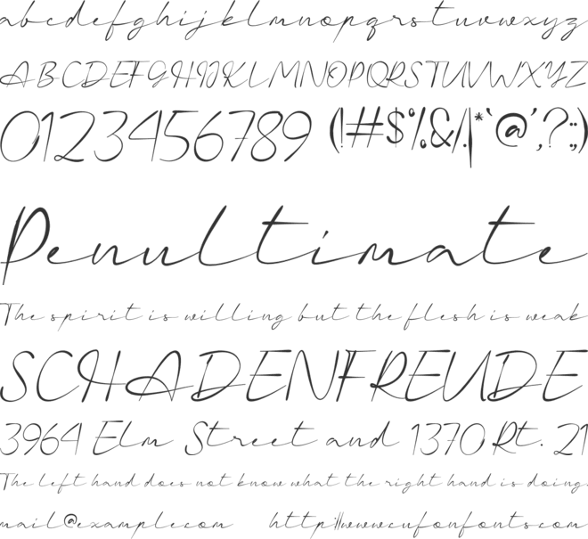 Charlotte font preview