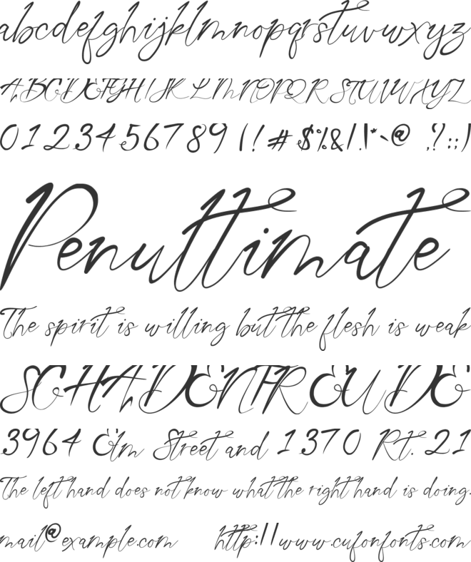 Aqua Script font preview