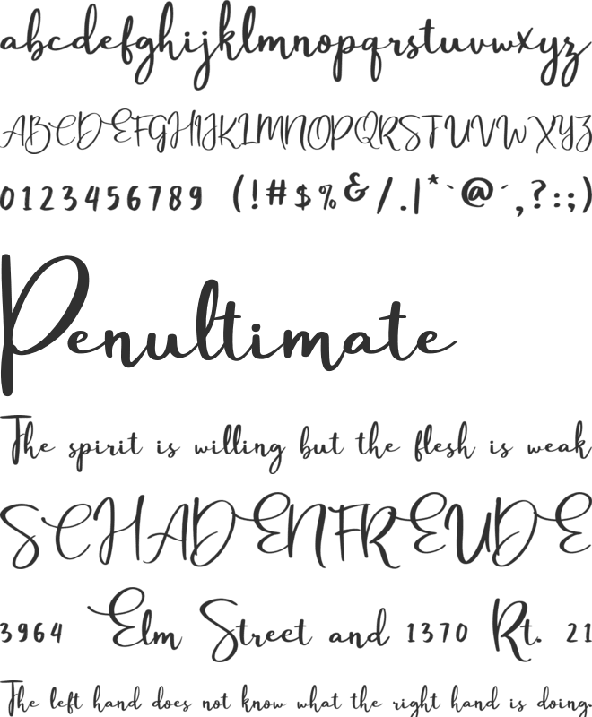 Passtyn Script font preview