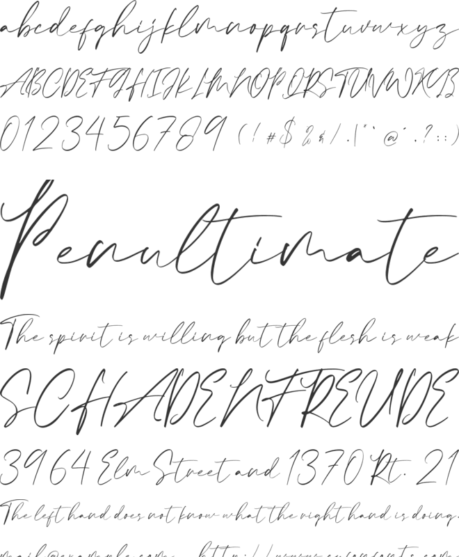 Calvin Fallen font preview