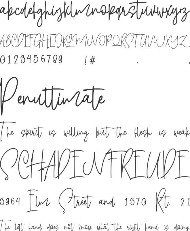 Shallamander font preview