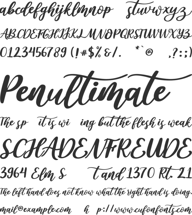 amalya font preview