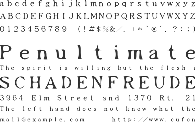 Venom Mincho font preview