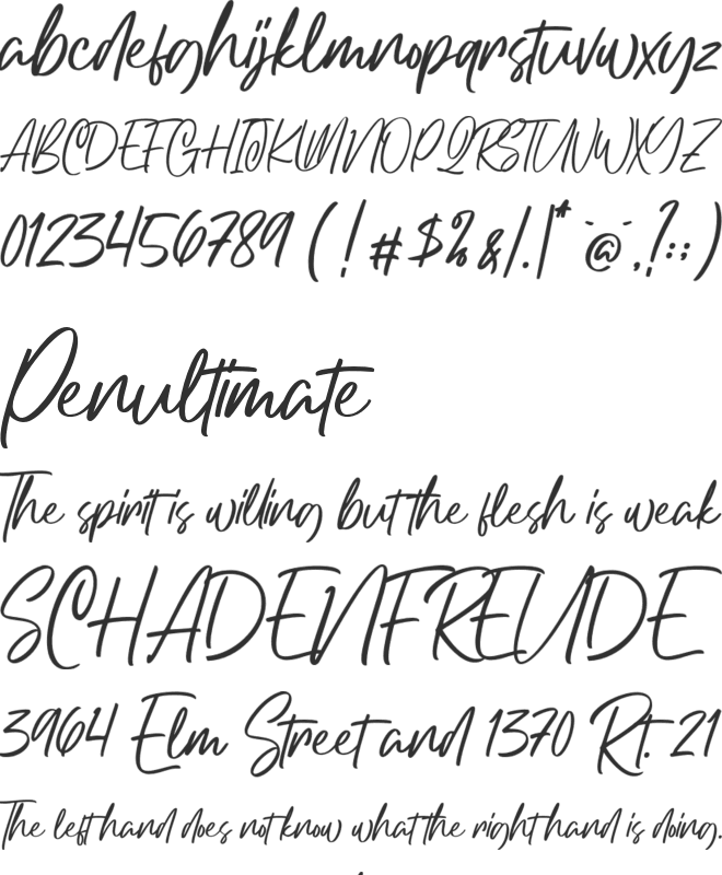 Northgate font preview