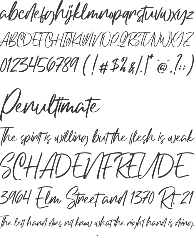 Northgate font preview