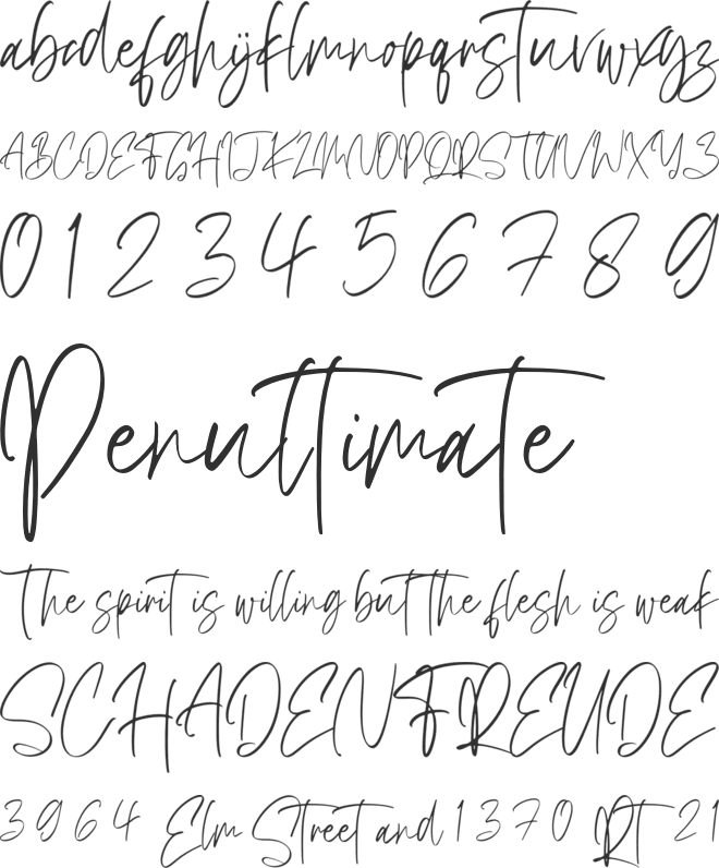 BrilliantSignature font preview