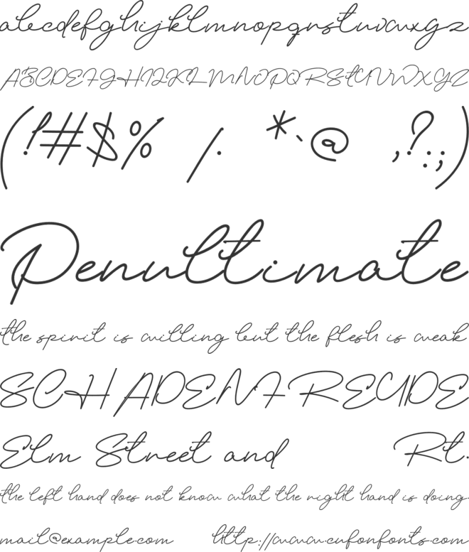 Elizany font preview