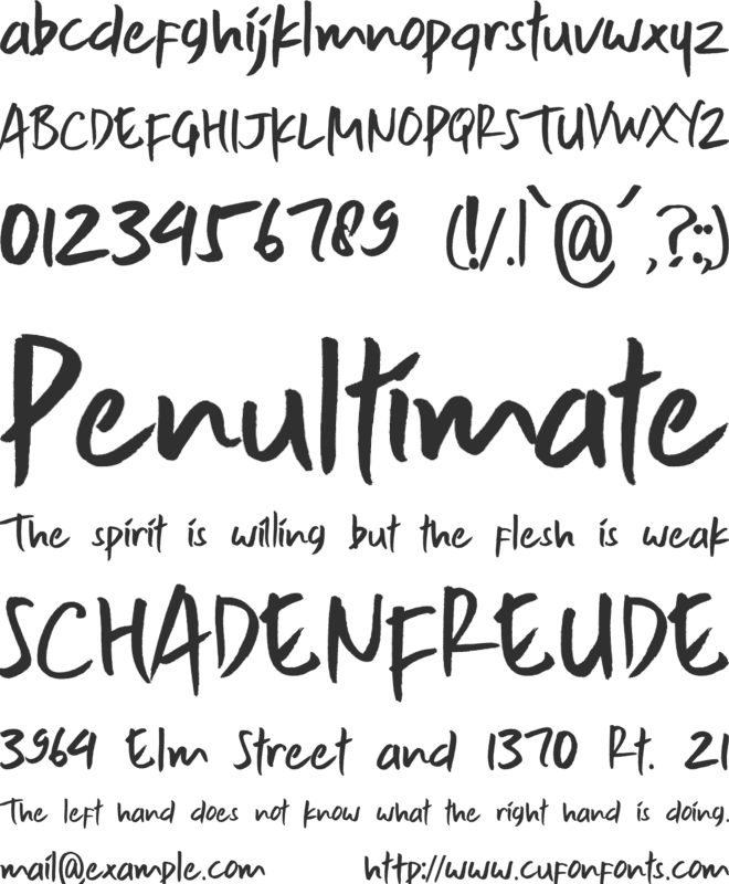 The Tourist font preview