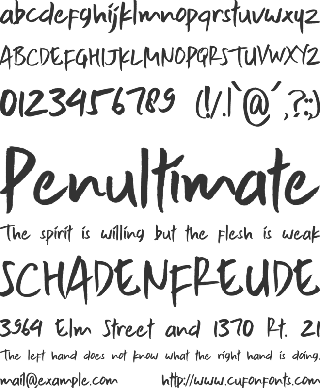The Tourist font preview