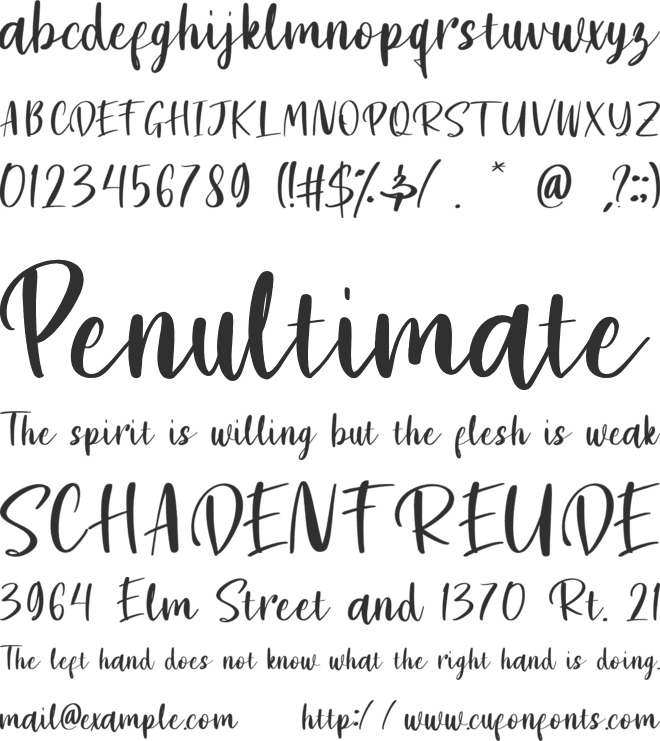 Silly Hand Script font preview