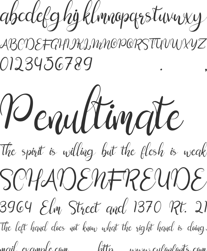 Sweengly font preview